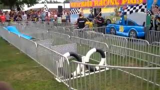 Pig Racing at NJ State Fair 2014