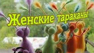 Женские тараканы