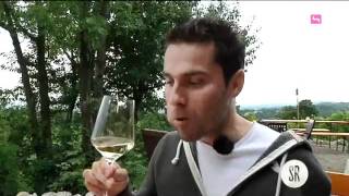 Weinwandertag mit Gastronaut Fabian Holzer