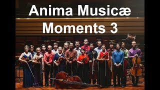 Anima Musicæ Moments 3: Tchaikovsky - Souvenir de Florence III. movement