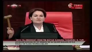 Meral Akşener: "Muhteremler azıcık susun!"