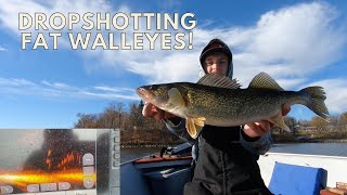 How To Fish A Dropshot For Walleyes!