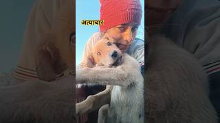 कुत्ते के साथ इतना अन्याय😭 ||Mini vlog 39 || #shorts #minivlog #trending