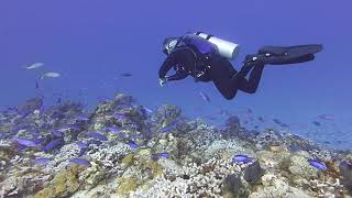 Diving in Cozumel, September 2023