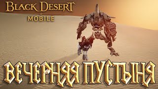 Black Desert Mobile -  Вечерняя Пустыня и Не только