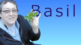 Pruning and Maintaining Basil