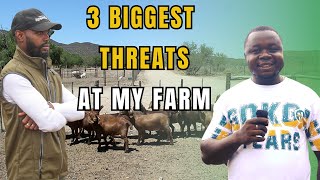 HOW HE IS OVERCOMING MISTAKES THAT ALMOST WIPED OUT HIS FARM