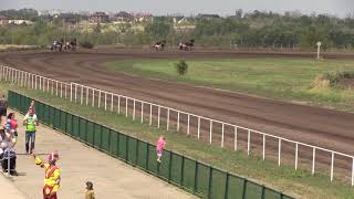 1-й заезд. 1й гит "Большой Воронежский приз Дерби". 08.08.2021. ЖиК рыс рожд. в 2017г. 1600х3