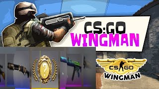 MI-A PICAT CUTIT IN MECI DE CS:GO WIGMAN!?