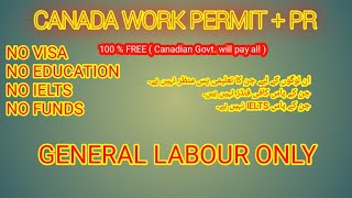 Canada Free Work Visa, HOW TO GET FREE VISA FOR CANADA, NO LMIA and IELTS, No Education, Asylum