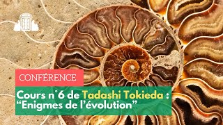 "Enigmes de l’évolution" : retrouvez le cours de Tadashi Tokieda | ENS-PSL