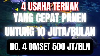 4 USAHA TERNAK YANG CEPAT PANEN UNTUNG 10 JUTA SEBULAN