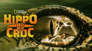 National Geographic - Hippo Vs Croc