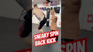 Sneaky Spinning Back Kick #spinningbackkick #shorts