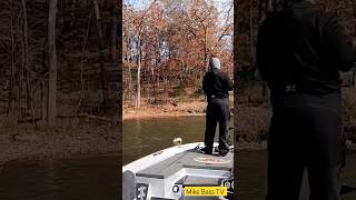 BASS EATS MY CHOPPO AT THE BOAT!!! #viral #fishing #bassfishing