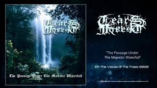 Tears Of Forest - The Passage Under The Majestic Waterfall (Track)