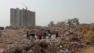 Rag Pickers working at Landfill in India - Part 1