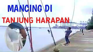 MANCING DI TANJUNG HARAPAN mancing ikan daun baru