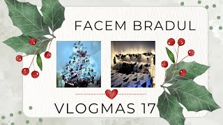 Bradul și decorul din dormitorul meu / VLOGMAS 2023