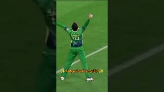 Shahid Afridi great catch ✨❤️ #cricket #ytshorts #cricketshorts #cricketvideo #youtubeshorts