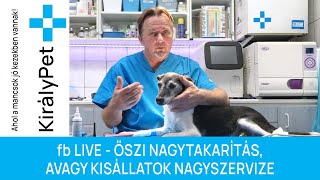 🍂ŐSZI NAGYTAKARÍTÁS, AVAGY KISÁLLATOK NAGYSZERVIZE🚘 - fb LIVE