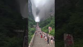 Tianmen mountain National Forests park  #shortsyoutube