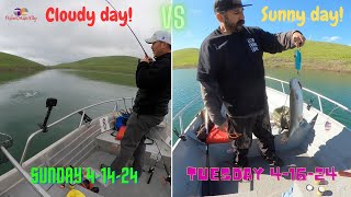 Which weather  is better for Catching Trout? Cloudy Day VS Sunny Day | LV Boat Edition.