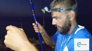 🔵 Porfin dio la cara el sargosaurio XL a surfcasting 🔵