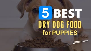 ⭕ Top 5 Best Dry Dog Food for Puppies 2024 [Review and Guide]