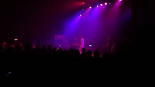 Team Lorde cover/ Andrew Belle Live Royal Oak Michigan 03/10/18