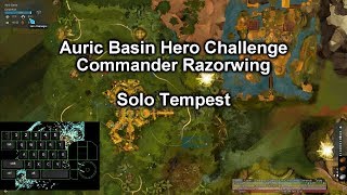 [GW2] Auric Basin Hero Challenge - Commander Razorwing - Solo Tempest