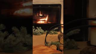 Fireplace. The fire is burning. ASMR #SHORTS