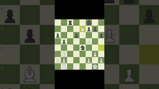 Who won?😱 Magnus Carlsen vs Arjun Erigaisi #shorts