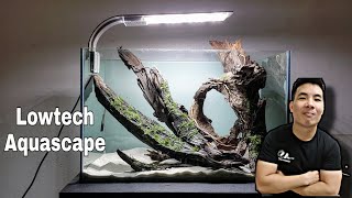 Building the NEW STYLE LOWTECH Aquascape | 新水草造景缸