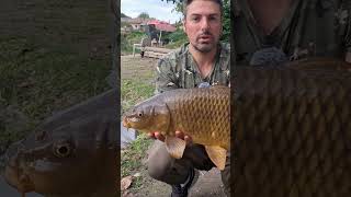 Fast session carpfishing #fishing #carps #carp #carpfishing #nash #korda #fish #fishingvideo #video