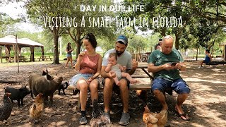 Visiting a small farm in Florida | Day in our life