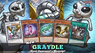 New Graydle Deck Steal your opponent's Monster! [Yu-Gi-Oh! Duel Links]