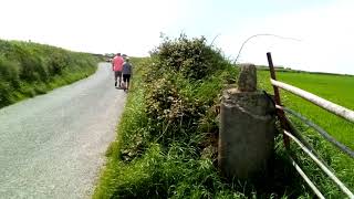 Gary Lucas beach to oldhead visitor centre. June 2021.