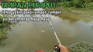 Mancing ikan tawes umpan rumput part 13