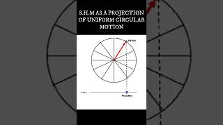 S.H.M as a Projection of Uniform Circular Motion Animation | Physics STD 11