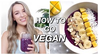 Thinking of going vegan ? HOW TO GO VEGAN FOR BEGINNERS | The Ultimate Guide To Veganism in 2020