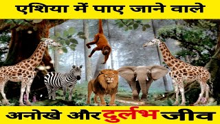 Animals in ASIA  एशिया में पाए जाने वाले बेहद अनोखे जीव। rarest animals animals in hindi