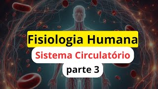 Tudo Sobre o Coração Humano: Anatomia e Fisiologia Explicadas [2024]