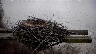 Moraine State Park Osprey Cam