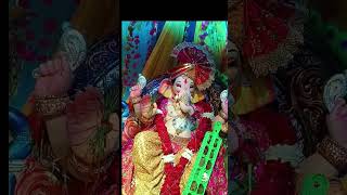 Bappa aale#viralvideo #prajapatifamilyvlogs