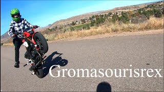 You need a Honda Grom!