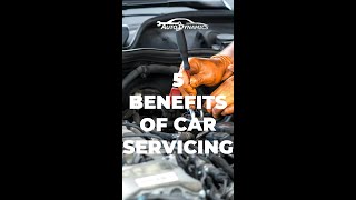 auto dynamics - servicing