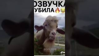 а ты веришь  лубов🤣👍