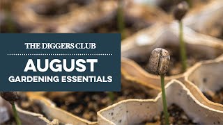 August Gardening Essentials