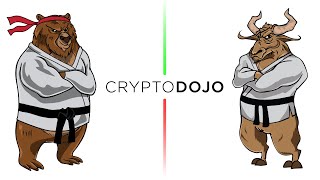 How To Join Crypto Dojo Discord to access Free Course